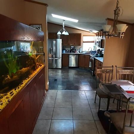 Private Pet Friendly Home Near Exotic Deer Farm Close To Pigeon Forge, Gatlinburg Tn Sevierville Exterior photo