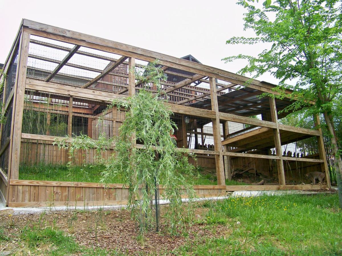 Private Pet Friendly Home Near Exotic Deer Farm Close To Pigeon Forge, Gatlinburg Tn Sevierville Exterior photo