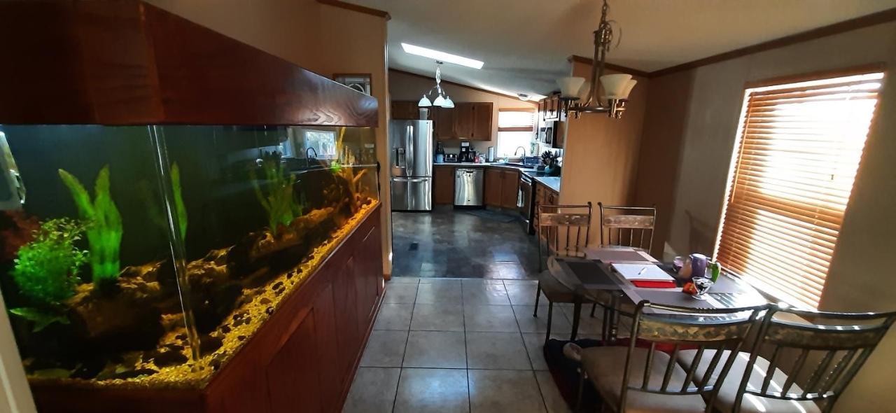 Private Pet Friendly Home Near Exotic Deer Farm Close To Pigeon Forge, Gatlinburg Tn Sevierville Exterior photo